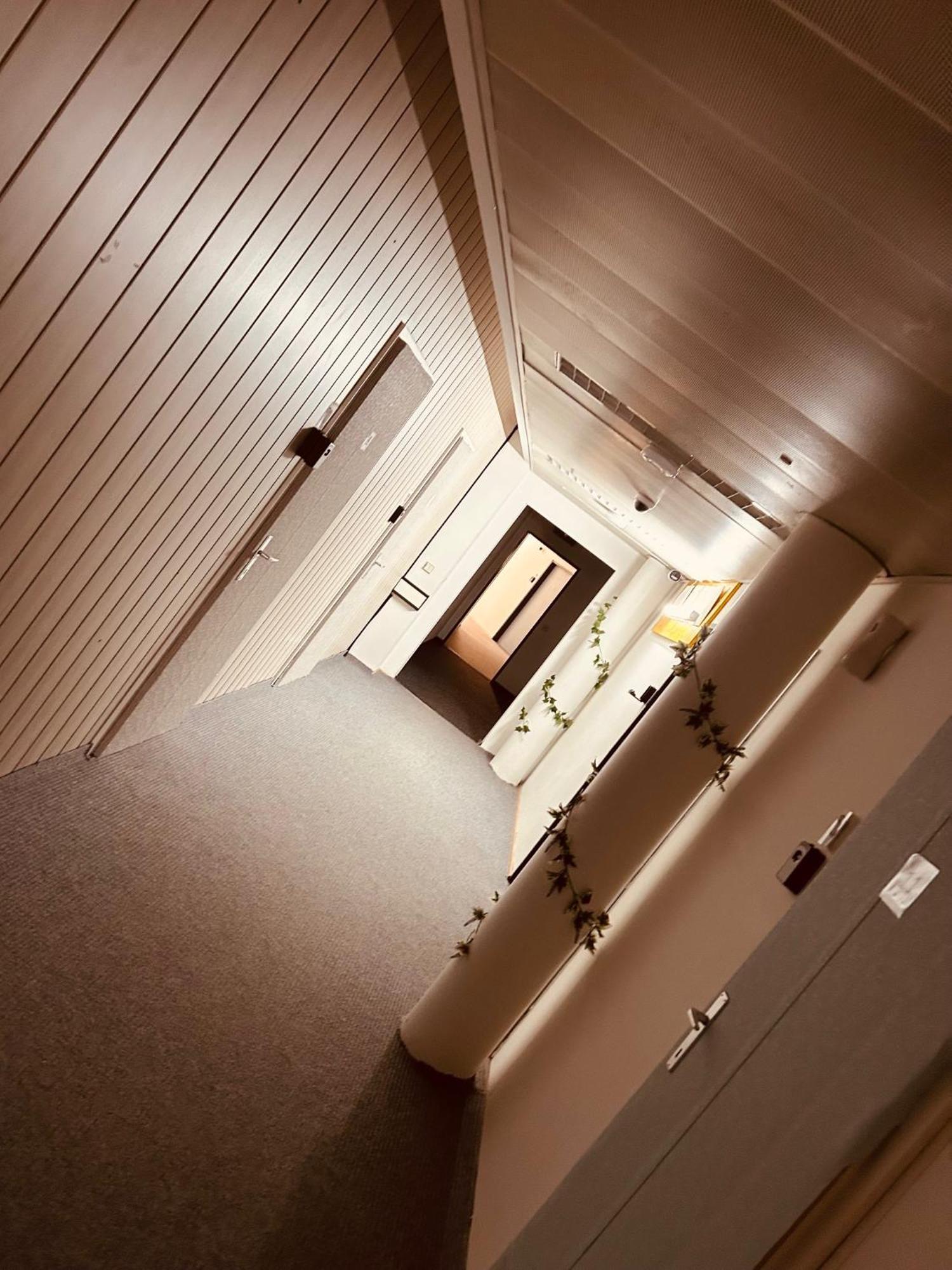 Veni Apartments Грац Екстериор снимка